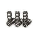TRW clutch spring kit