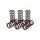 TRW clutch spring kit
