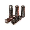 TRW clutch spring kit