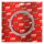 TRW clutch plate kit, steel drive plates