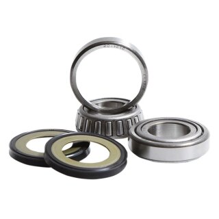 Lenkkopflager Kit für Harley Touring und Trike Modelle 14-24