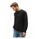 Dickies Washington sweatshirt black