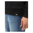 Dickies Washington sweatshirt black