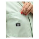 Dickies Rego Park Print coverall mint