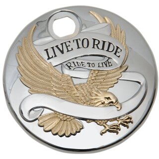 DOOR GAS LTR GOLD 92-07