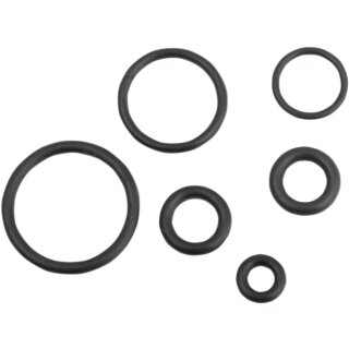 O-RING KIT EFI FUEL LINE