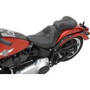 PILLION DOMINATOR