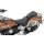 PILLION DOMINATOR