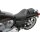 PILLION DOMINATOR
