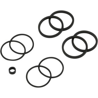 SEALS CLPR 08-14 SFTL F/R