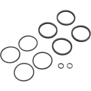 SEAL KIT CALIPER 00-07 BT