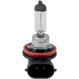 BULB H11 HLGN 55W LO ONLY