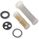 REBUILD KIT PETCOCK