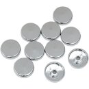 COVER BOLT 5/16 TORX 10PK