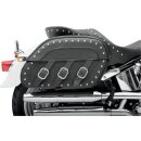 SADDLEBAG RGD SLNT DESP
