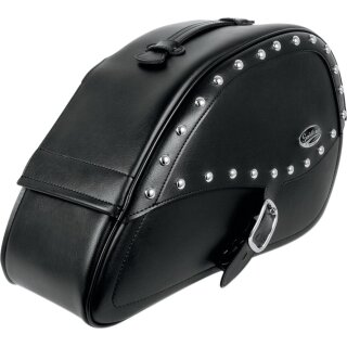 SBAG TRDRP RG DSP DYNA