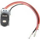 SWITCH RCKR CRUS 96-13FLT