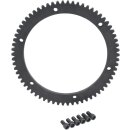 GEAR RING 66T 90-93BT