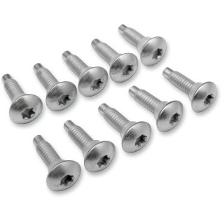 SCREW EFI MNT(1311D) 10PK