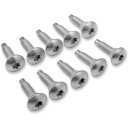 SCREW EFI MNT(1311D) 10PK