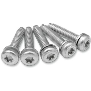 SCREW EFI MNT(1081A) 5PK