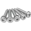 SCREW EFI MNT(1081A) 5PK
