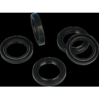 70-99BT DBL LIP PNT SEAL