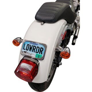 MOUNT LIC PLT RADIUS WIDE