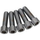 1/2X13X2 SOCKET HEAD