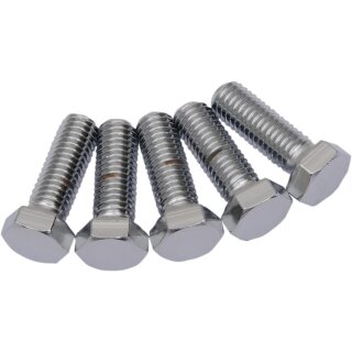 1/2X13X2 CHR HEX HEAD