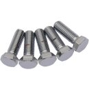 1/2X13X2 CHR HEX HEAD