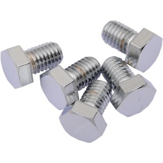 1/2X13X1 CHR HEX HEAD