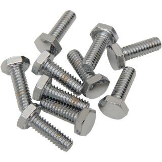1/4 -20 X 3/4 CHR HEX HD