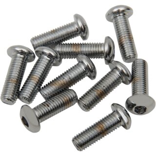 1/4-28 X 1 BUTN HD SCREW