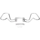 HAND RAIL PASS 09-13 FLT