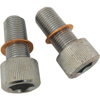 SCREWS W/WSHRS DMPR TB