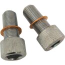 SCREWS W/WSHRS DMPR TB