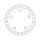 Moto-Master Flame series fixed brake rotor
