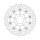 Moto-Master Flame series floating brake rotor