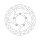 Moto-Master Halo series fixed brake rotor