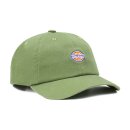 Dickies Hardwick 6 panel baseball cap army green