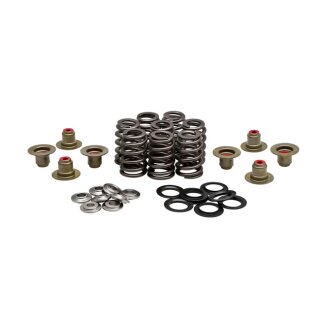 KPMI, .550" lightweight high lift valve spring kit