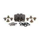 KPMI, .550" lightweight high lift valve spring kit