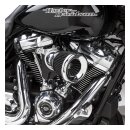 Arlen Ness, M8 Velocity 65Â° air cleaner kit....