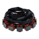 Cycle Electric, Alternator stator unmolded