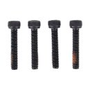 Cycle Electric, Alternator stator unmolded