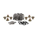 KPMI BEEHIVE VALVE SPRING KIT .625" LIFT