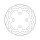 Moto-Master Halo series brake rotor