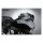 NC, Bad Boyâ„¢ 4" windscreen. Dark tint