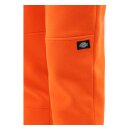 Dickies Bienville sweatpants bright orange
